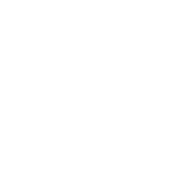 Cat Person