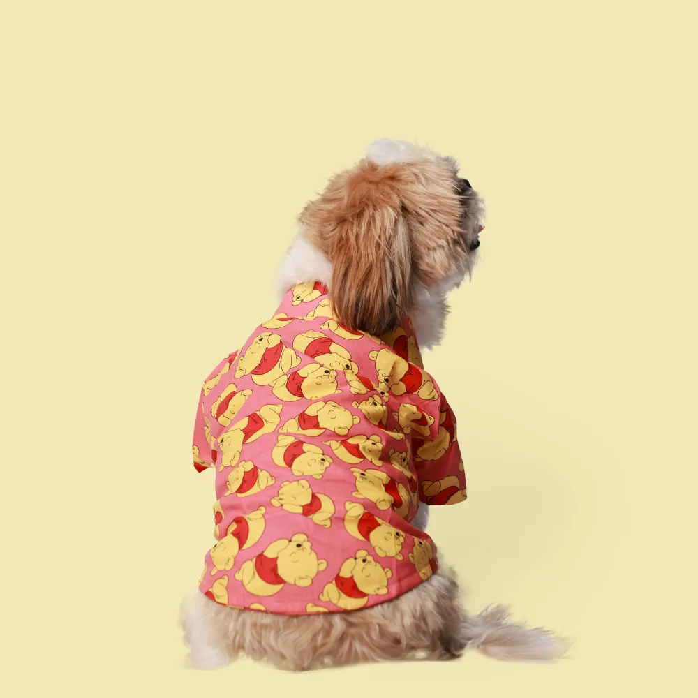 Pack of 2 Dog Shirts Brighty